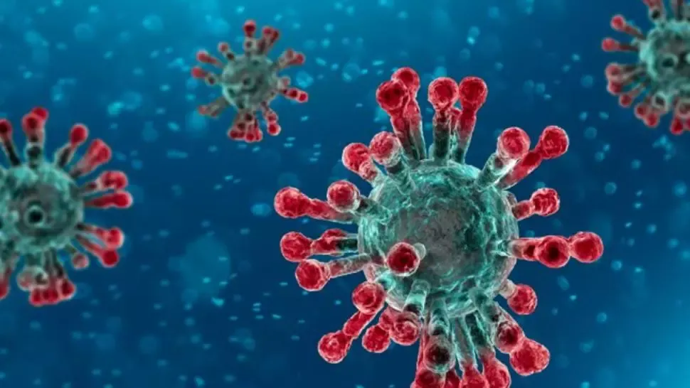 coronavirus