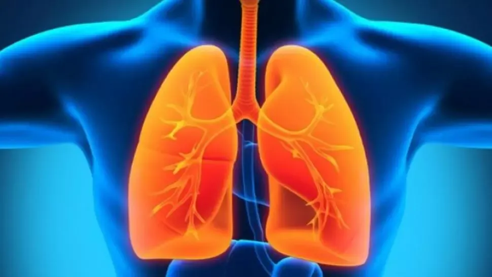 Aşa îţi detoxifici plămânii în 48 de ore. Cura pe care toată lumea trebuie să o urmeze