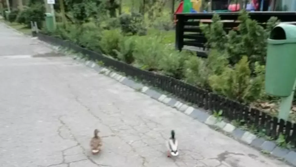 Cum arată Capitala în vremea coronavirusului