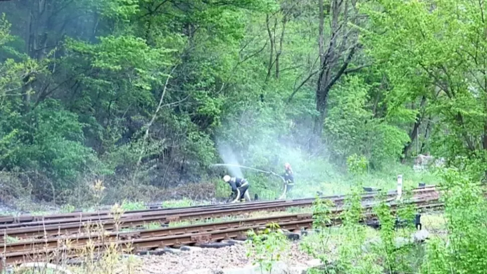 brezoi incendiu
