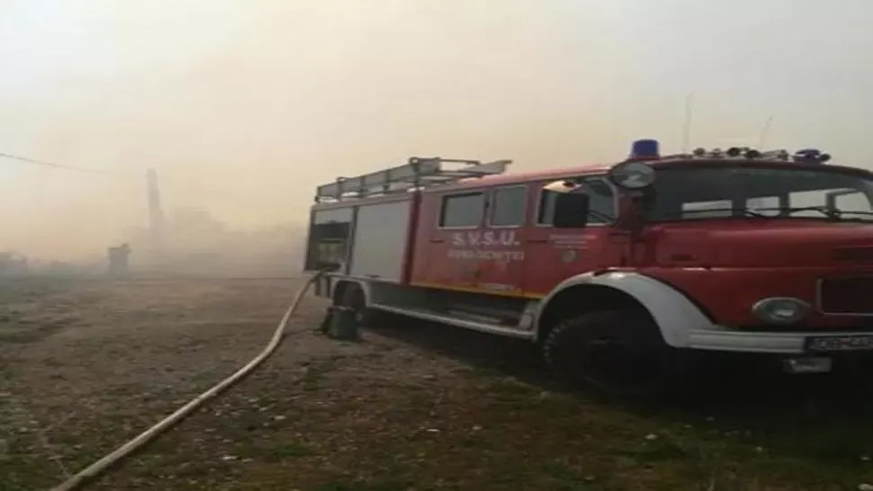 dambovita incendii padure