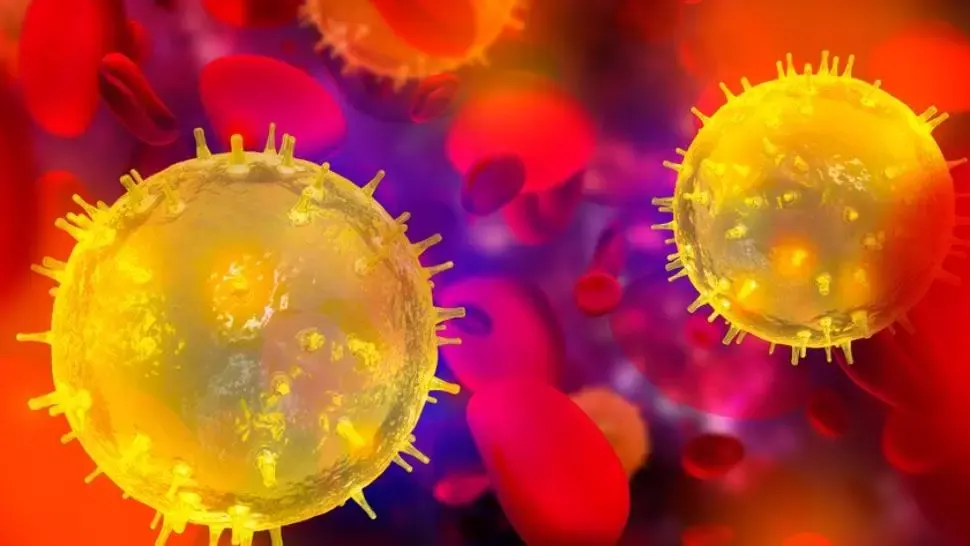 coronavirus sua