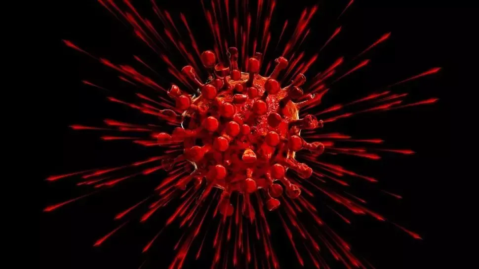 coronavirus gemania