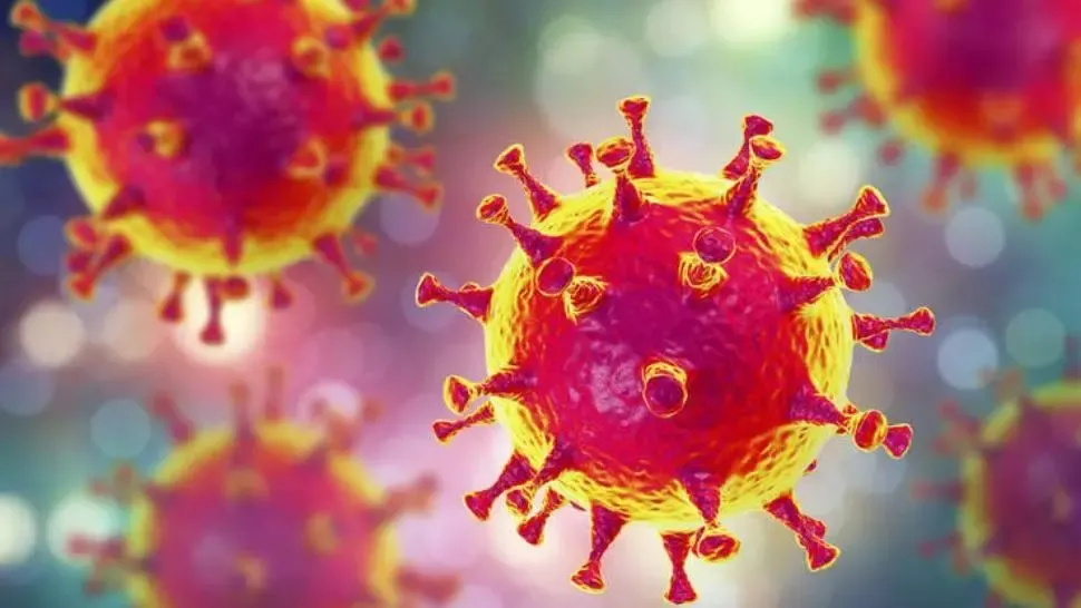coronavirus