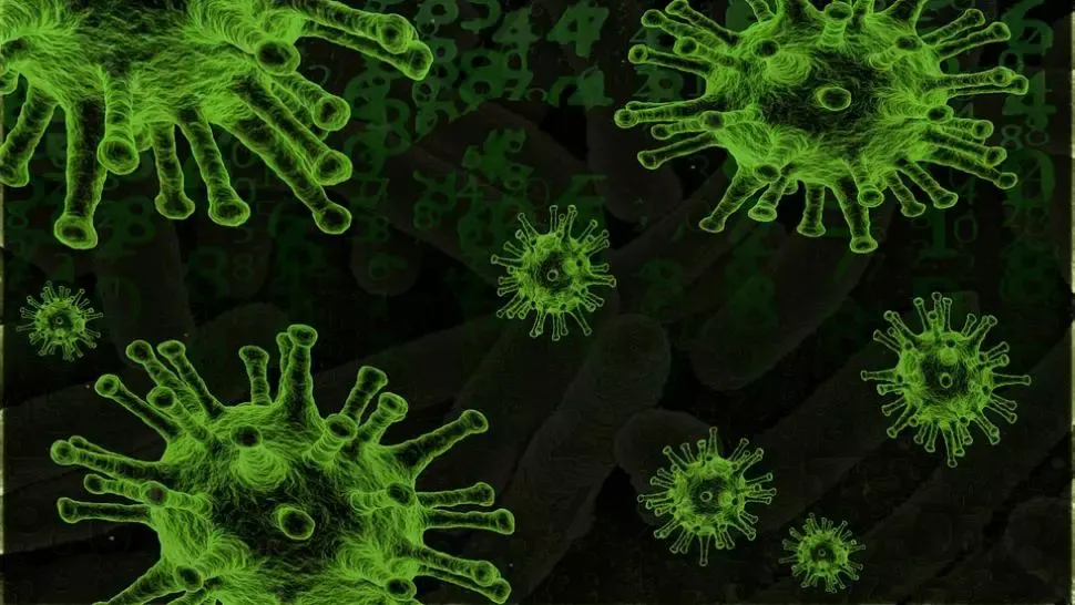 coronavirus Foto: Pixabay.com
