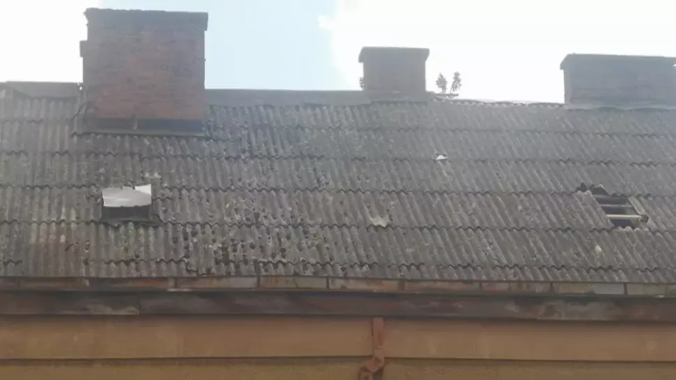 Vântul a făcut PRĂPĂD la Satu Mare: Copaci doborâți la pământ și acoperișuri smulse
