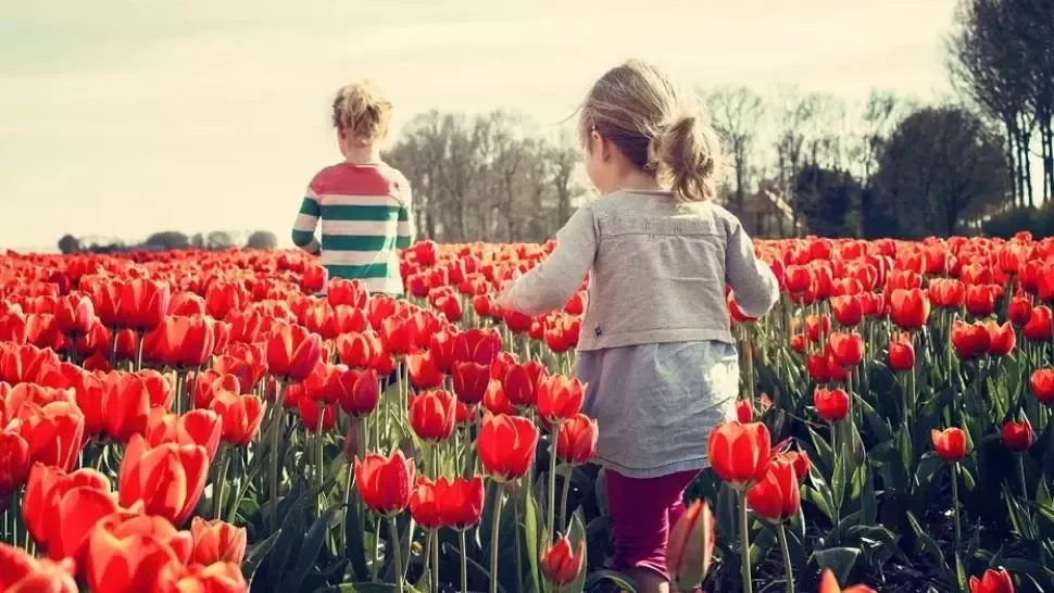 Prognoza meteo, revizuită. Schimbări importante: cum va fi vremea până pe 4 mai