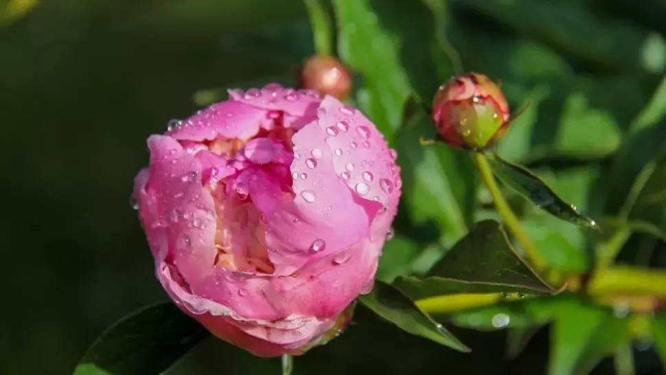 Prognoza meteo pe o lună. Schimbări majore: cum va fi vremea până pe 25 mai