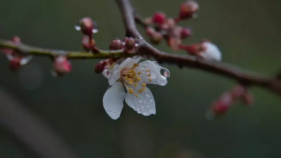 Prognoza meteo pe o lună. Schimbări radicale: cum va fi vremea până pe 4 mai