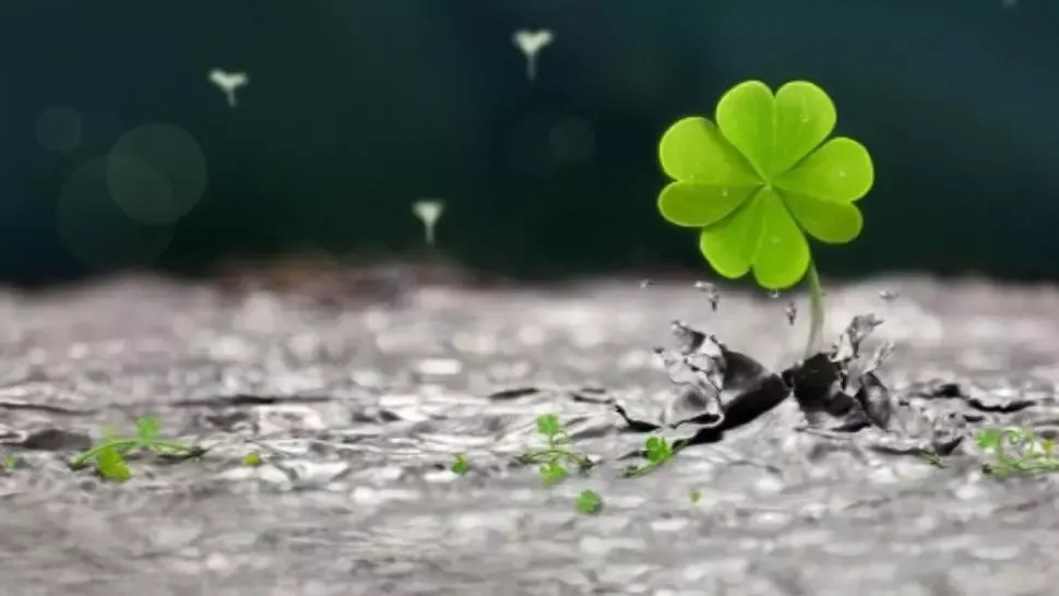 Horoscop 28 aprilie. Zodia care stă pe un munte de bani. În sfârșit, norocul îi surâde. O zi plină de reușite