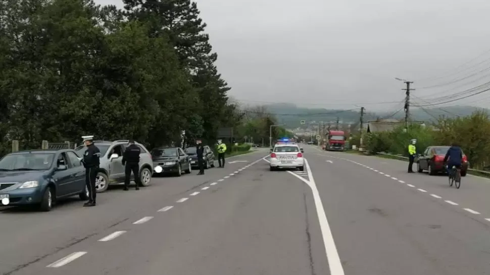 salaj amenzi 200000