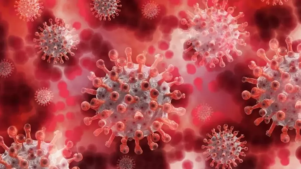 coronavirus bilant