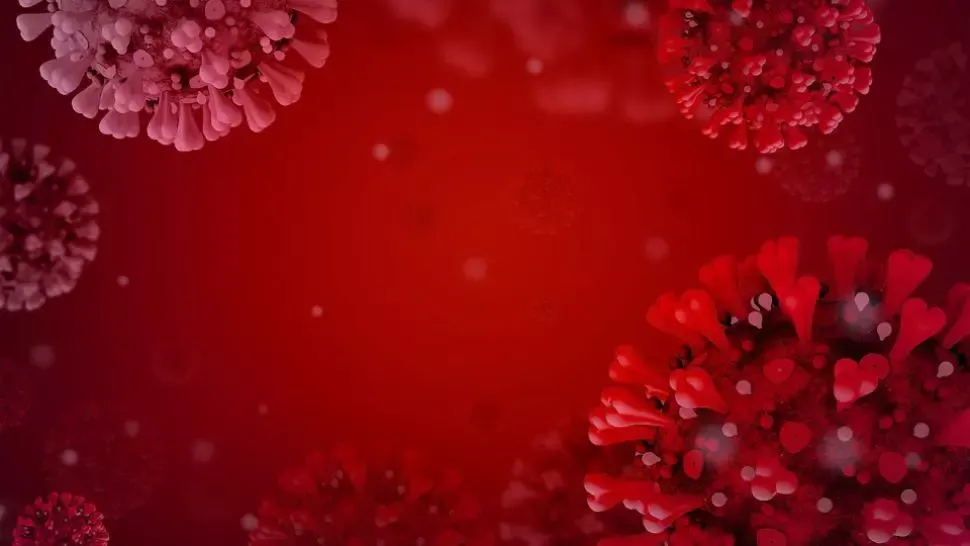 coronavirus