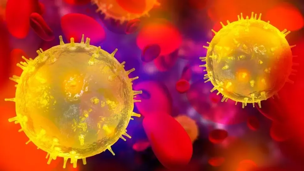 coronavirus