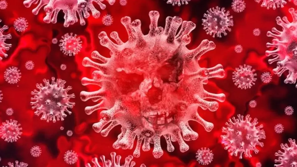 coronavirus