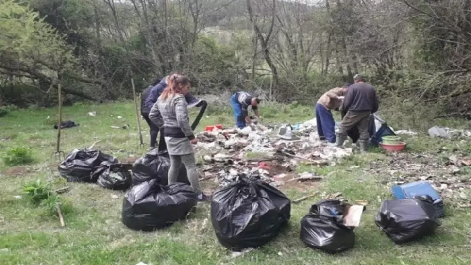 ozun saci gunoaie