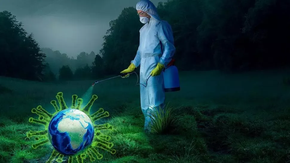 coronavirus