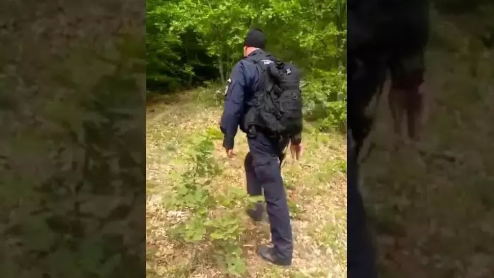 Marocanii fugiți din centrul de carantină din jud. Arad au fost găsiți de jandarmi Foto: aradon.ro