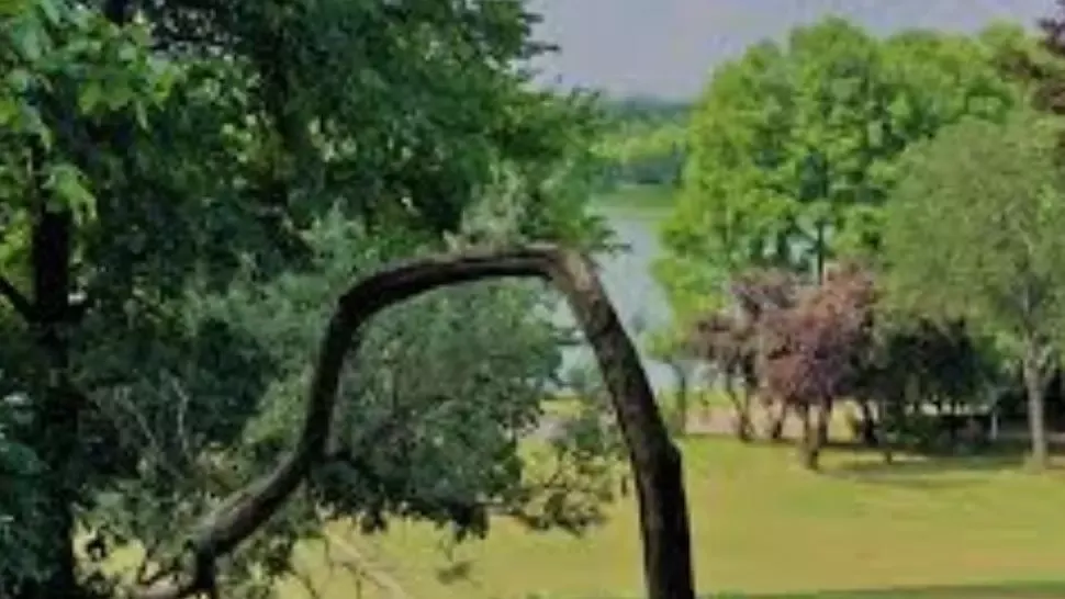Scene dramatice în Capitală: O persoană s-a aruncat în lacul din Parcul Tineretului