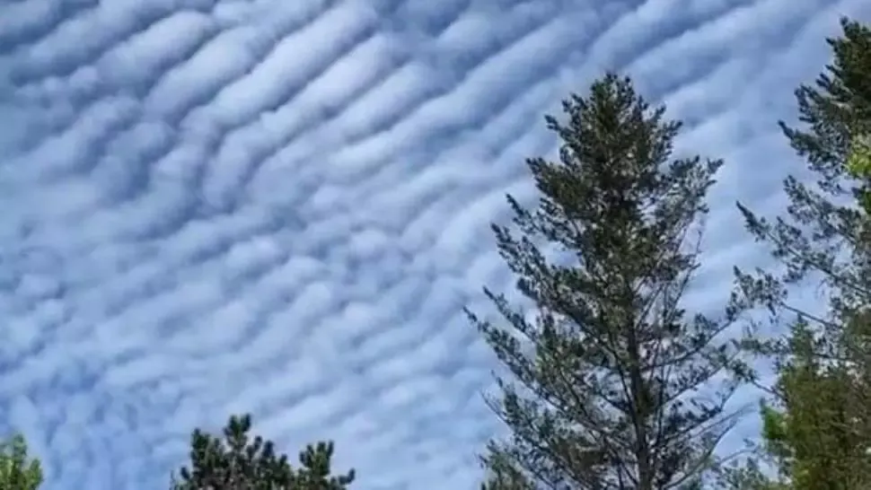 zăpadă munte Foto: Facebook/Meteoplus