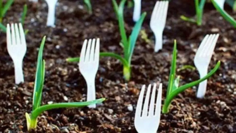 A înfipt furculiţe de plastic în grădină! Motivul, genial