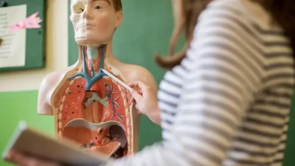 Subiecte bacalaureat anatomie