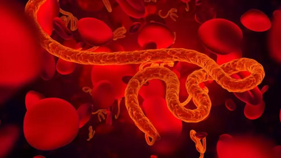 virusul Ebola