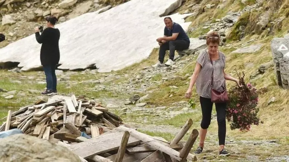 Gest revoltător, în Munții Făgăraș: o turistă a smuls din rădăcină o tufă de bujori. Mesajul Salvamont