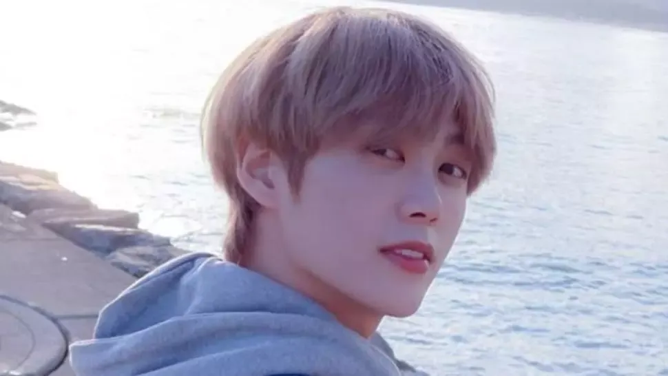 yohan TST