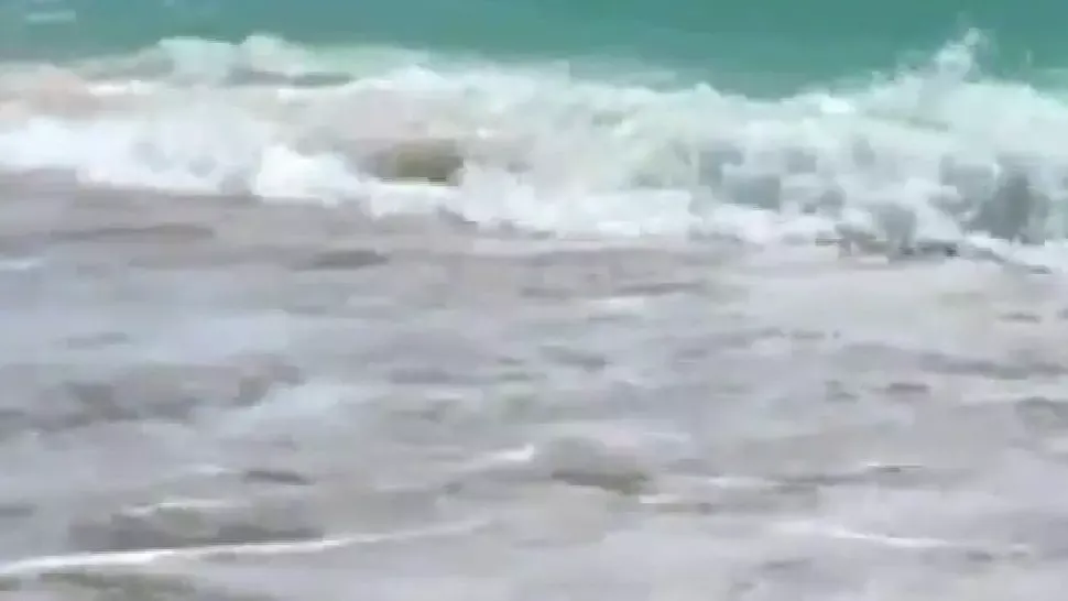Căutări disperate în stațiunea Mamaia! Un turist a DISPĂRUT în largul mării