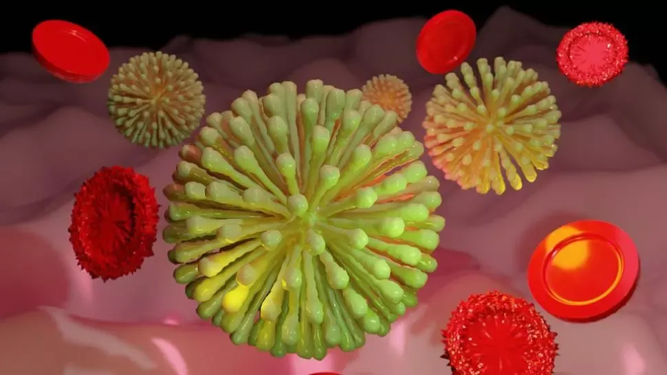 Coronavirus