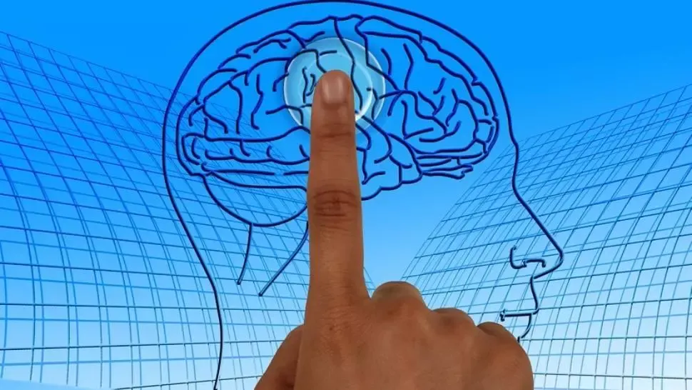 Școala online. Învățarea de pe ecrane va schimba creierul copiilor. Suntem pregătiți pentru asta?
