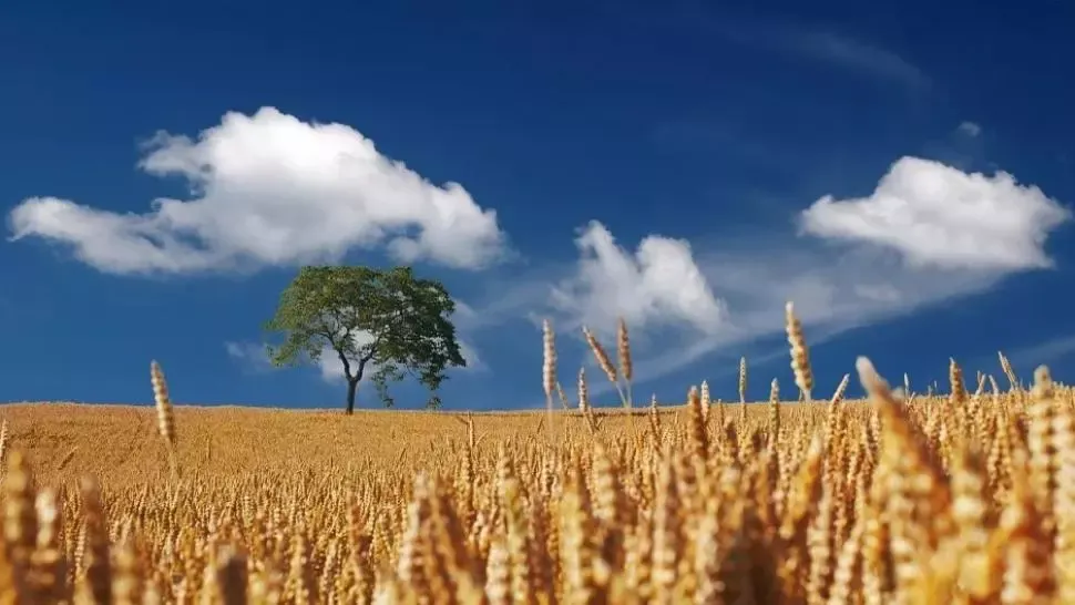 Prognoza meteo o lună. Schimbări dramatice: cum va fi vremea în AUGUST