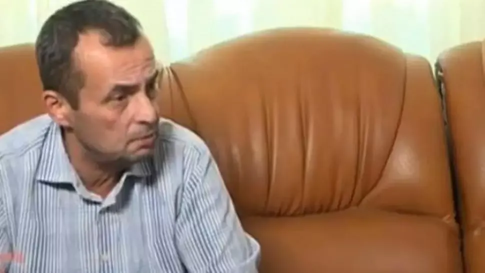 mircea negulescu