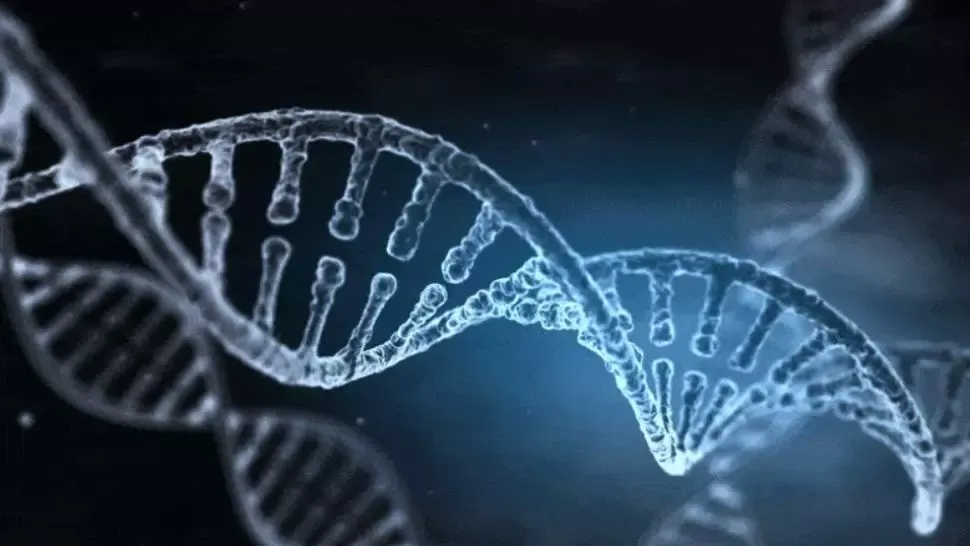 A fost identificată o nouă și, totodată, misterioasă genă „ascunsă” în virusul COVID-19