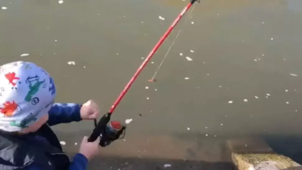 VIDEO fabulos: Un puști de 5 ani a pescuit un șalău de 10 kg, în Bega