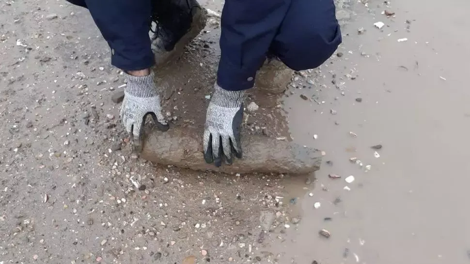 Trei proiectile neexplodate, descoperite de muncitori pe banda rulanță de la o balastieră din Vrancea