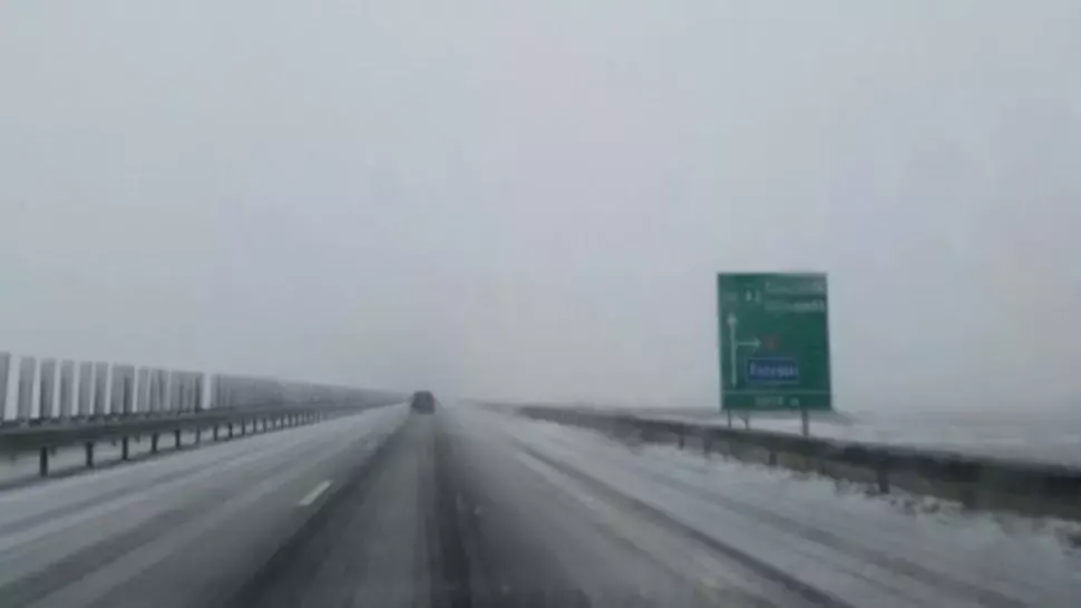Guvernul alocă peste 6 milioane de lei pentru înfiinţarea perdelor forestiere de protecţie pe Autostrada A2 și pe DN 2B