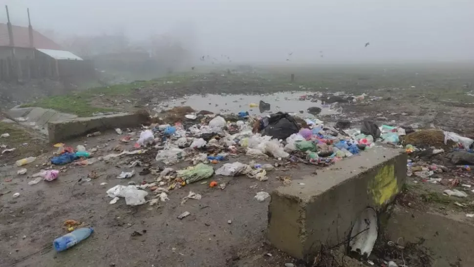 VIDEO Amenzi pentru munții de gunoaie din Mărășești, după un reportaj Realitatea Plus