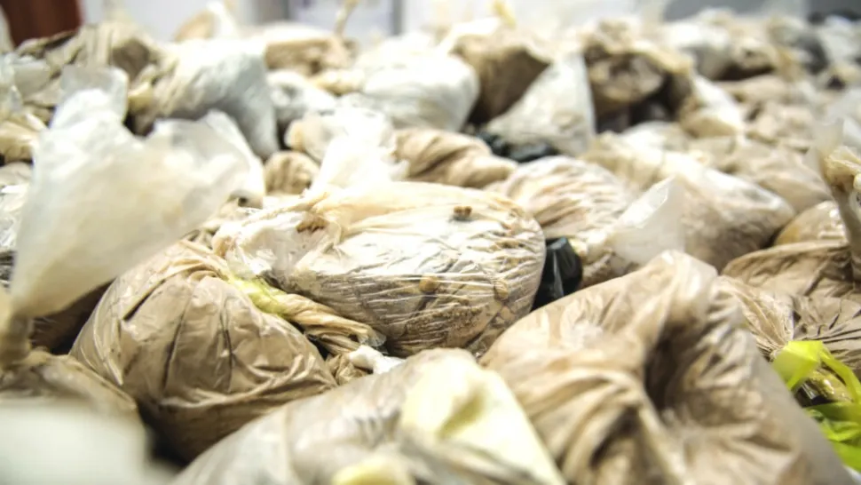 Heroină confiscată în Olanda