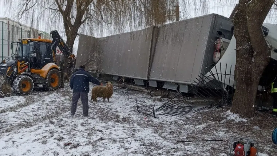 Un TIR cu oi s-a răsturnat în curtea unei scoli (foto: ISU Alba)