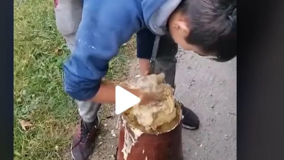 Farsa