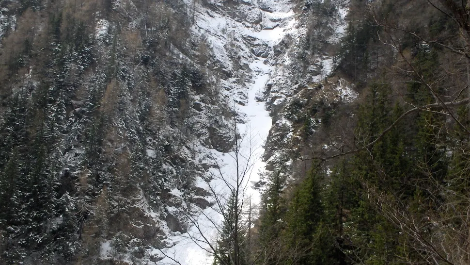 Bucegi