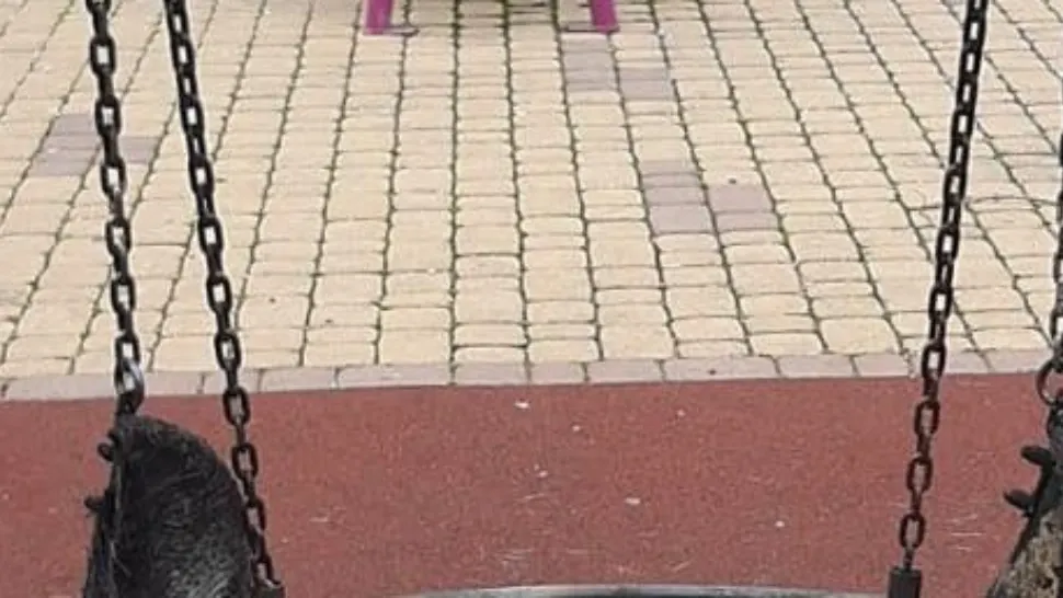Incident intr-un parc din sectorul 3