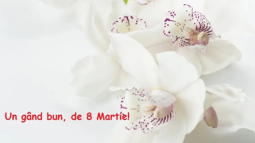 8 martie 2021. Ziua Femeii