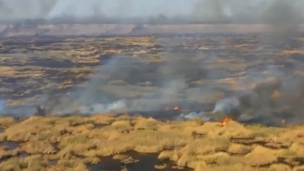 Incendiu vegetație Delta Dunării