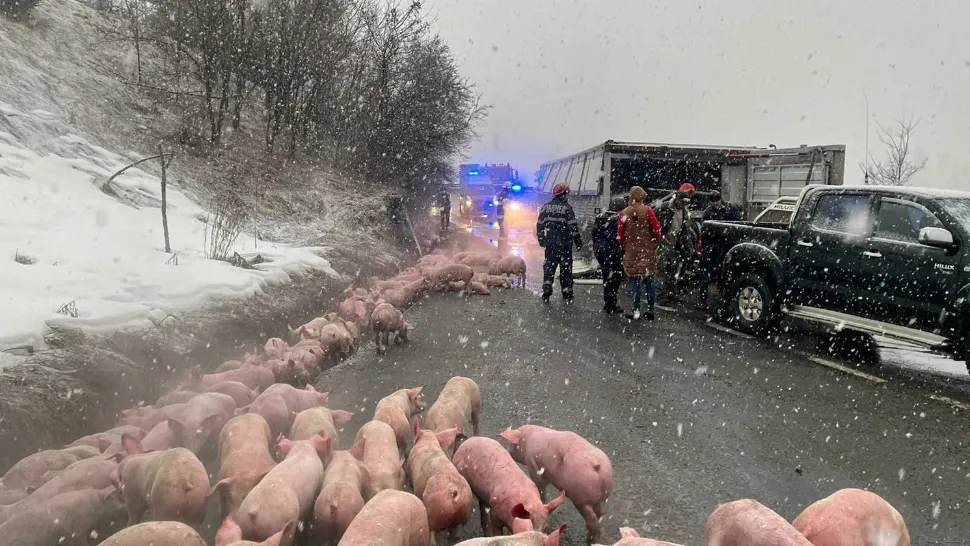 Accident pe DN17 (sursă foto: infobistrita.ro)
