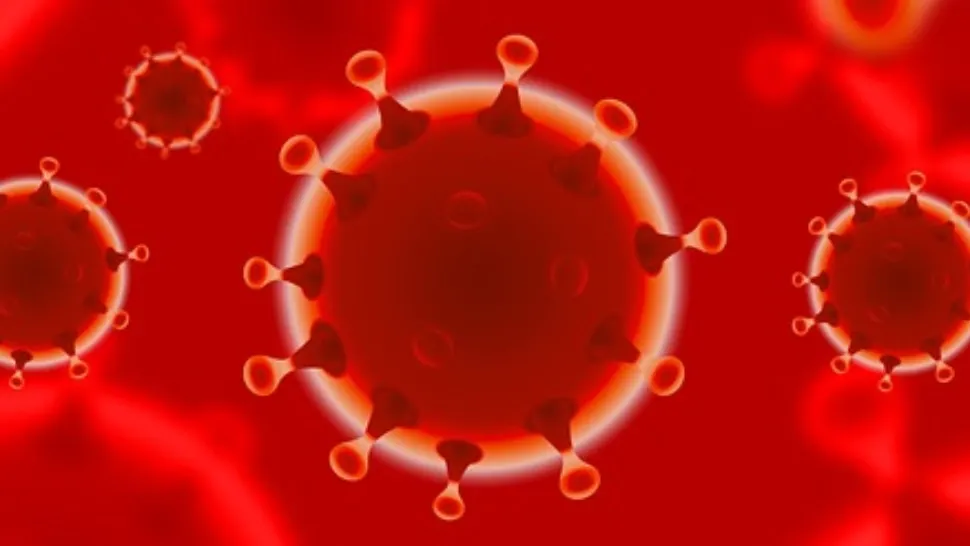coronavirus Foto: Pixabay.com