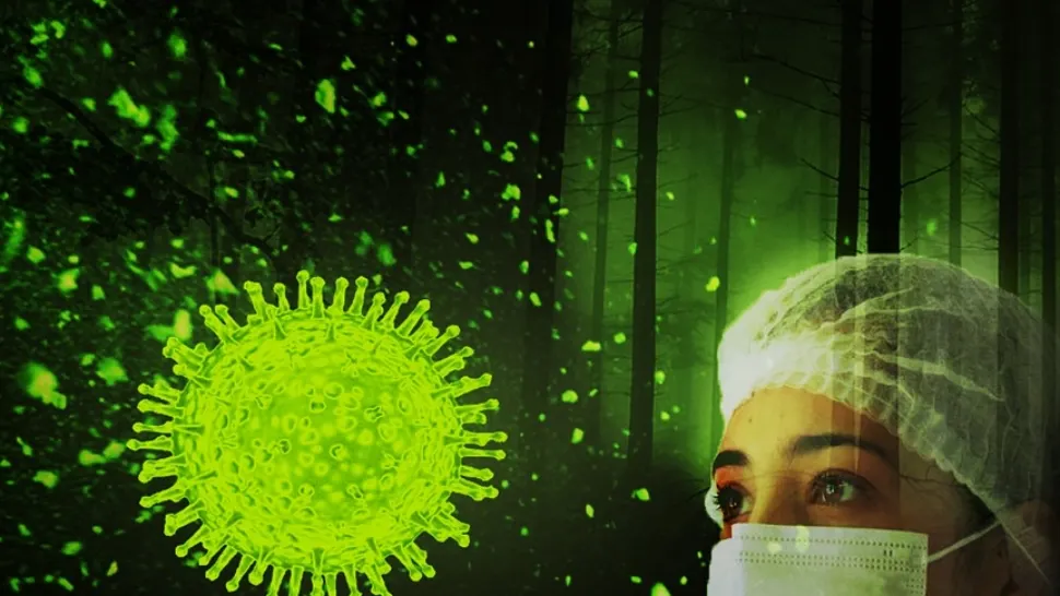 Rată de incidență coronavirus în scădere în București
