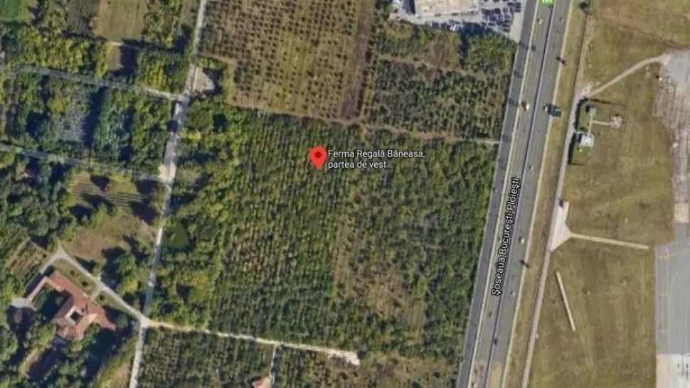Ferma Băneasa (foto Google Maps)